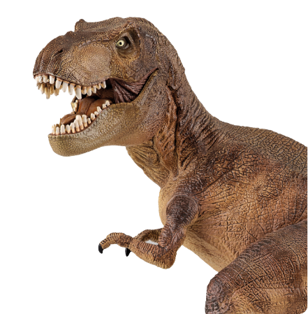 Figurines dinosaures