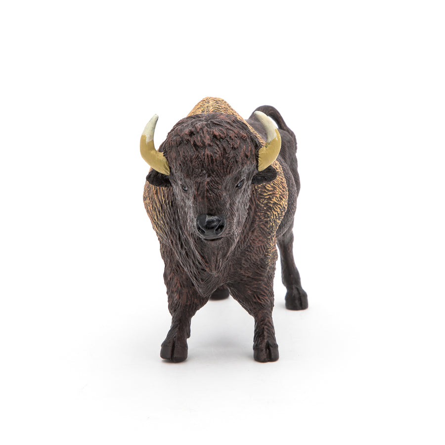 Bison d'Amérique Papo en PVC, Collection Animaux sauvages, jouet éducatif idéal pour enfants et collectionneurs