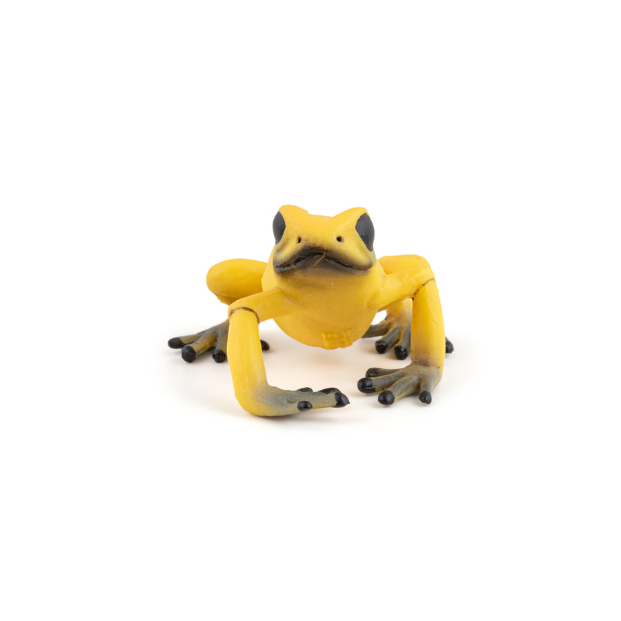 Grenouille équatoriale jaune Papo en PVC, Collection Animaux sauvages, jouet éducatif idéal pour enfants et collectionneurs