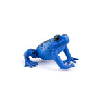 Grenouille équatoriale bleue Papo en PVC, Collection Animaux sauvages, jouet éducatif idéal pour enfants et collectionneurs