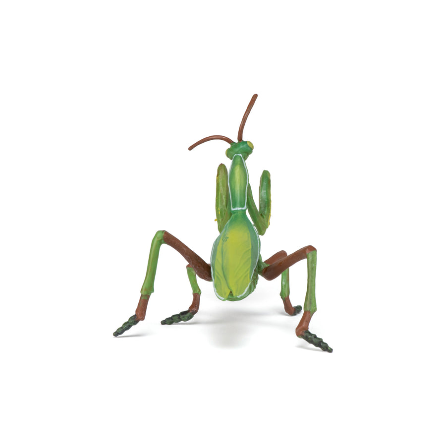 Figurine Mante religieuse Papo en PVC, thème insectes, Collection Animaux des jardins, jouet éducatif idéal pour enfants et collectionneurs
