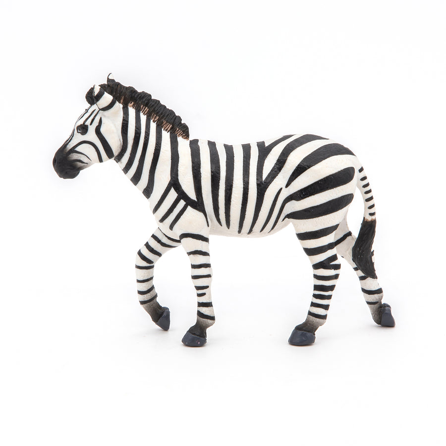 Figurine Zèbre mâle Papo en PVC, thème savane, Collection Animaux sauvages, jouet éducatif idéal pour enfants et collectionneurs
