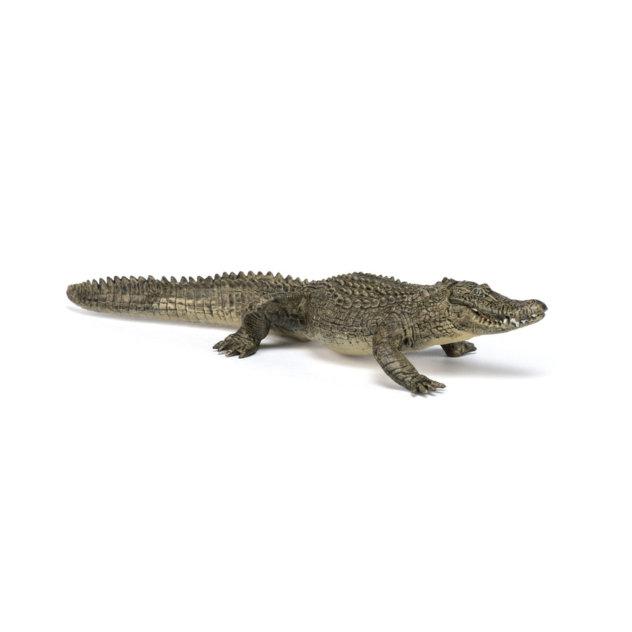 Figurine Alligator Papo en PVC, thème reptiles, Collection Animaux sauvages, jouet éducatif idéal pour enfants et collectionneurs