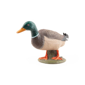 Figurine Canard colvert Papo en PVC, thème basse-cour, Collection Vie à la ferme, jouet éducatif idéal pour enfants et collectionneurs