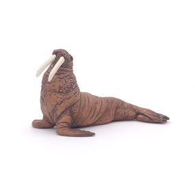 Figurine Morse Papo en PVC, Collection animaux marins, jouet éducatif idéal pour enfants et collectionneurs