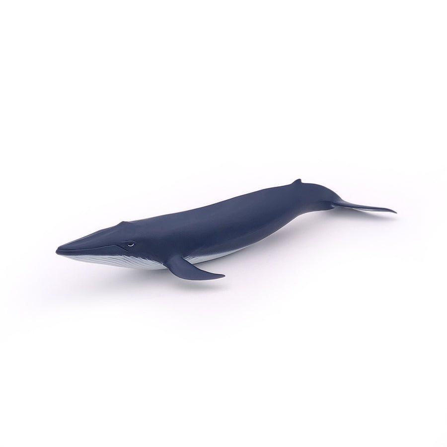 Figurine Bébé baleine bleue Papo en PVC, Collection animaux marins, jouet éducatif idéal pour enfants et collectionneurs